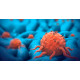 Tumours & Cancers