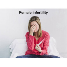 Females Infertility Ayurvedic Treatment Females Infertility Ayurvedic Treatment