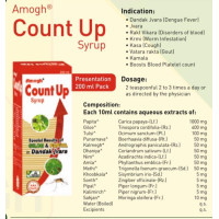 COUNT UP SUGAR FREE SYRUP